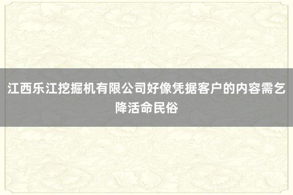 江西乐江挖掘机有限公司好像凭据客户的内容需乞降活命民俗