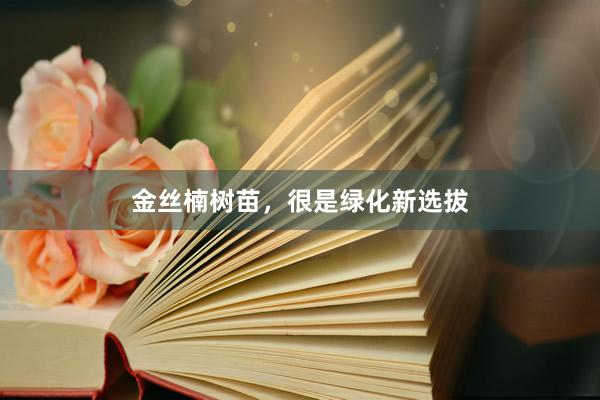 金丝楠树苗，很是绿化新选拔